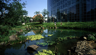 Mouri Garden at Roppongi Hills