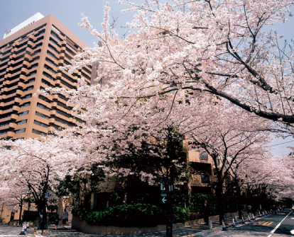 Image Photo of ARK Mori Building3