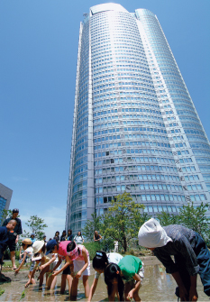 Image Photo of Roppongi Hills Mori Tower8