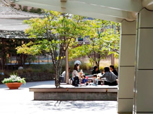 社会への取り組み